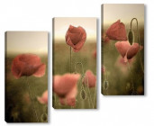 Модульные картины